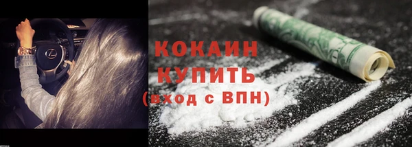 прущие грибы Абдулино