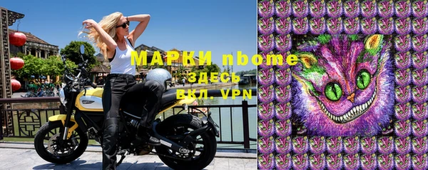 прущие грибы Абдулино